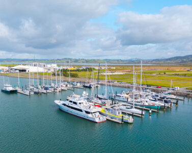 Port Nikau Marina May26